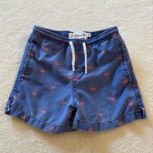 INGEAR Swim 4T swim trunks